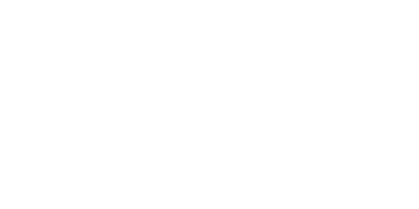메가윈스 페이 partner logo